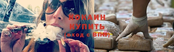 прущие грибы Чердынь