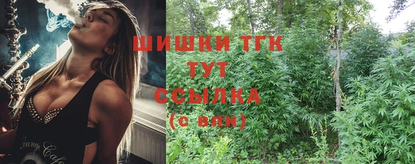 прущие грибы Чердынь