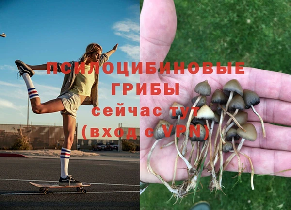 мет Чекалин