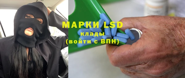 прущие грибы Чердынь