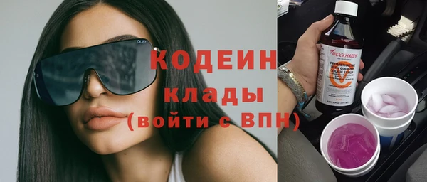 прущие грибы Чердынь