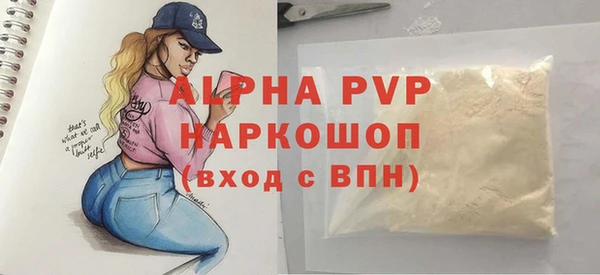 прущие грибы Чердынь
