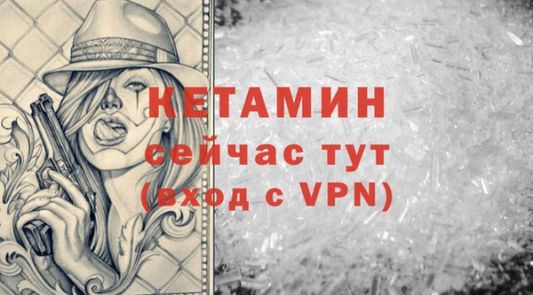 прущие грибы Чердынь