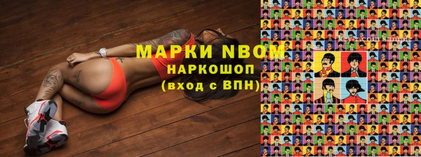 прущие грибы Чердынь