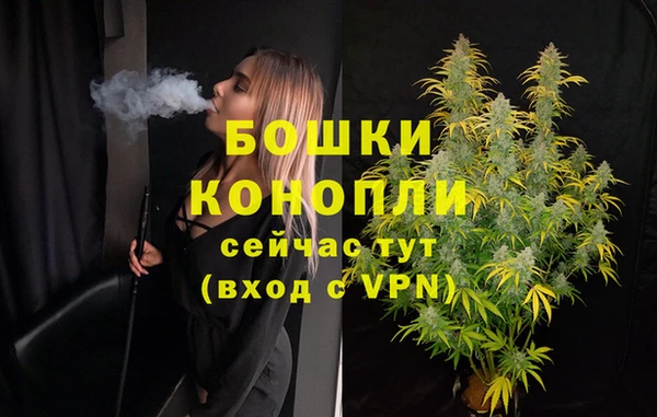 прущие грибы Чердынь