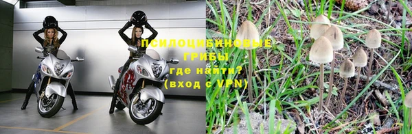 мет Чекалин
