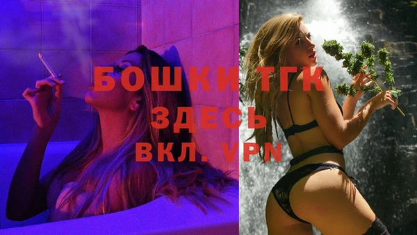 прущие грибы Чердынь