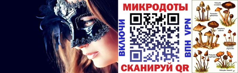 Галлюциногенные грибы Psilocybine cubensis  Краснодар 