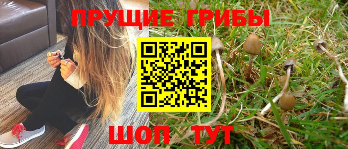 Краснодар  Псилоцибиновые грибы ЛСД  Галлюциногенные грибы Magic Shrooms  Вход с VPN 