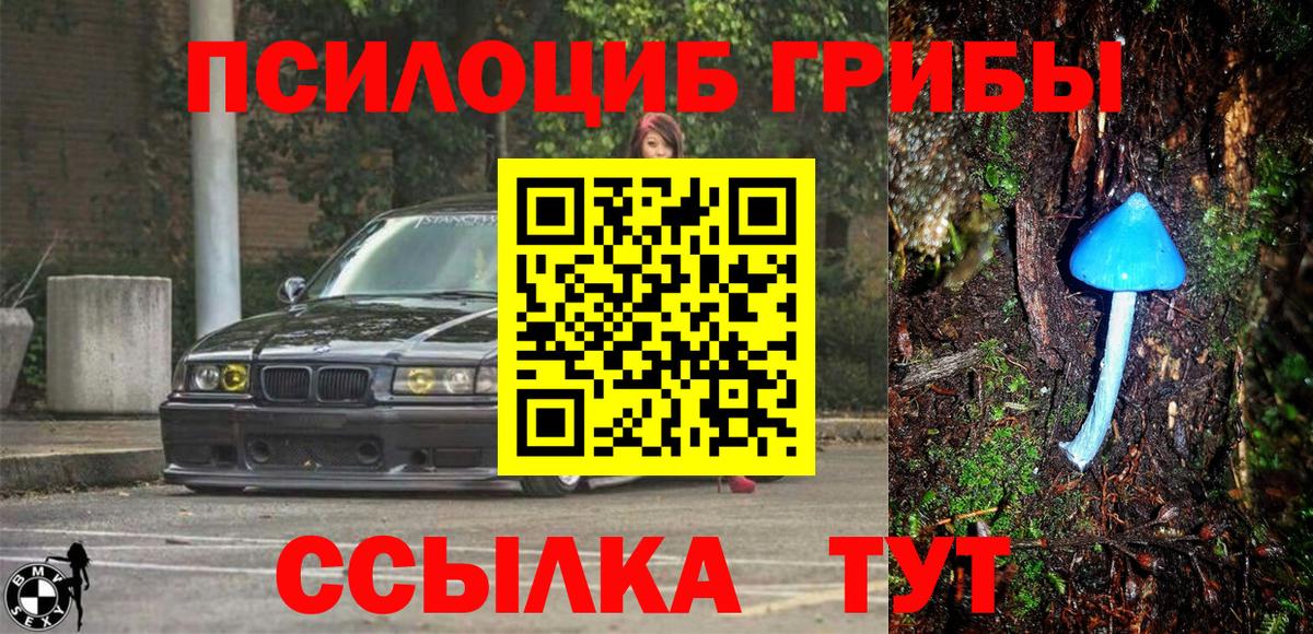 Галлюциногенные грибы прущие грибы Краснодар